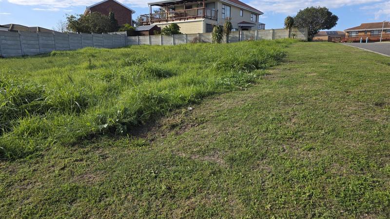 0 Bedroom Property for Sale in Reebok Western Cape